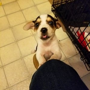 Meet your Posher, Lindsey